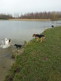 /album/fotogalerij/groene-weelde-jpg/
